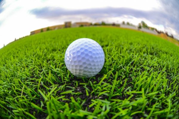 ドライバーは健在でした！