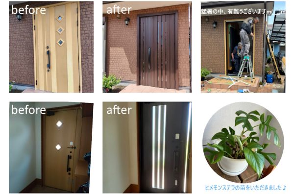 光を採り入れて明るい玄関に♪