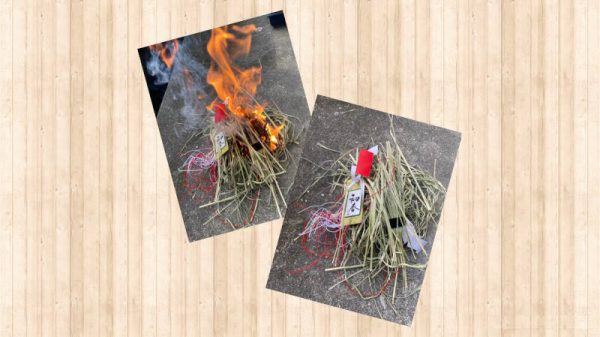 松の内が明けました(_ _)