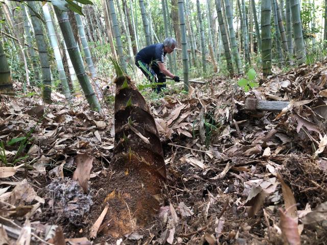 レクリエーション